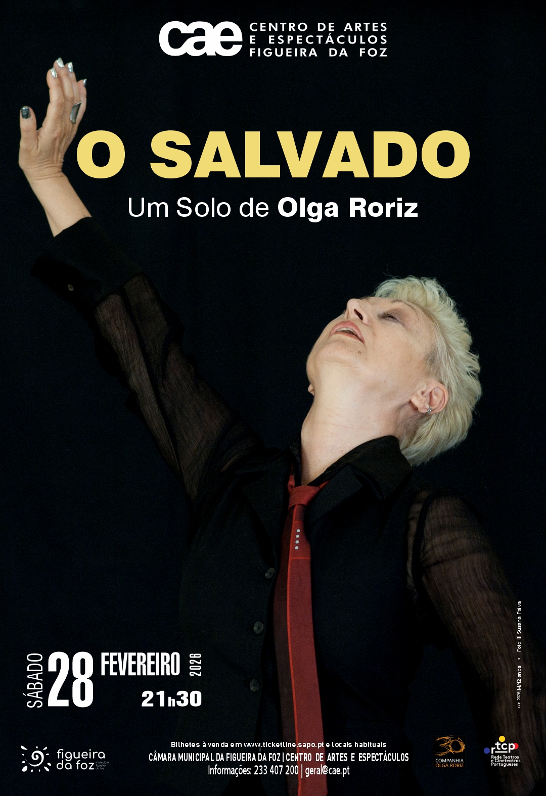 Cartaz O Salvado web